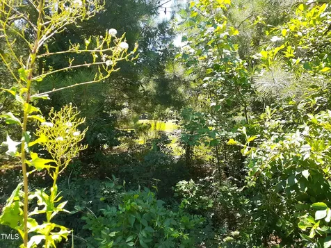 205 Springside Drive Seven Springs NC 28578