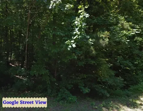 Tbd Country Canyon Drive Rockingham NC 28379