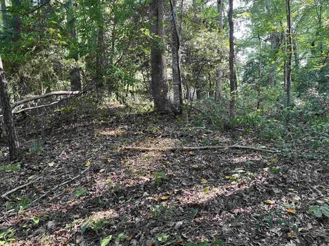 Tbd Country Canyon Drive Rockingham NC 28379