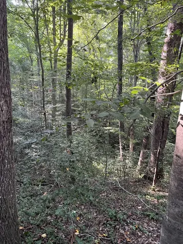Tbd Country Canyon Drive Rockingham NC 28379