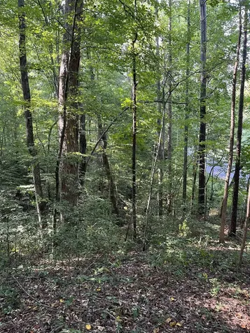 Tbd Country Canyon Drive Rockingham NC 28379