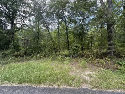 0 Mcbryde Street Linden NC 28356