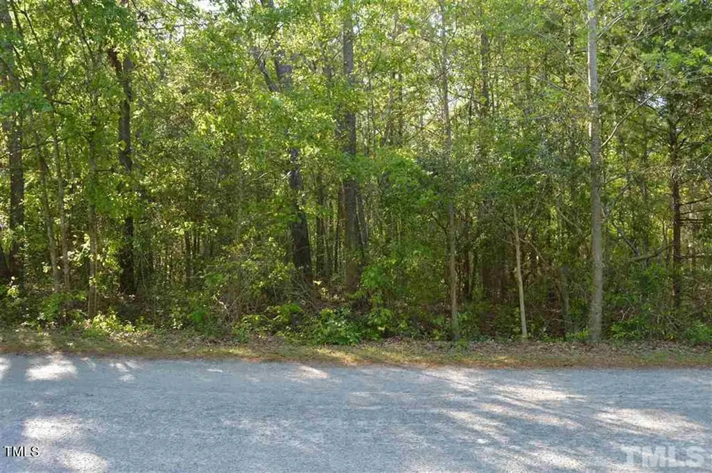 0 Old Stage Road S Erwin NC 28334