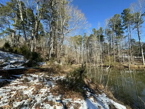 Tbd Quail Roost Drive Semora NC 27343