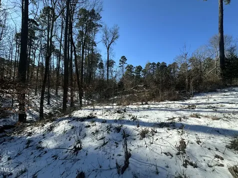 Tbd Quail Roost Drive Semora NC 27343