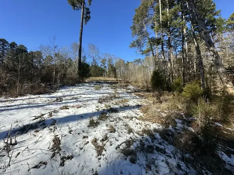 Tbd Quail Roost Drive Semora NC 27343
