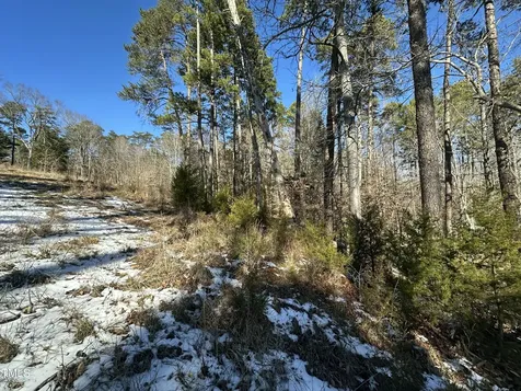 Tbd Quail Roost Drive Semora NC 27343