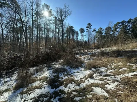 Tbd Quail Roost Drive Semora NC 27343