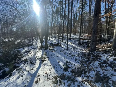 Tbd Quail Roost Drive Semora NC 27343