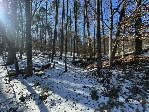 Tbd Quail Roost Drive Semora NC 27343