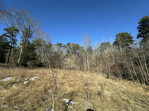 Tbd Quail Roost Drive Semora NC 27343