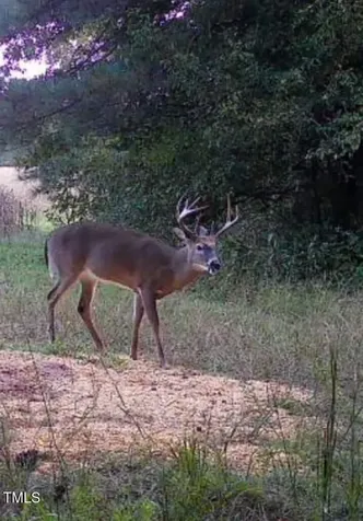 0000 Fielding Knott Road Oxford NC 27565