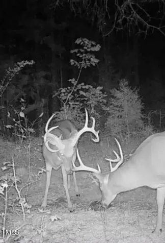 0000 Fielding Knott Road Oxford NC 27565