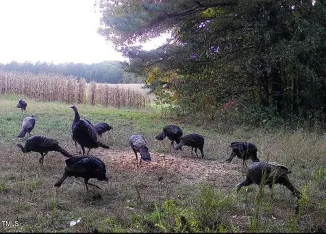 0000 Fielding Knott Road Oxford NC 27565