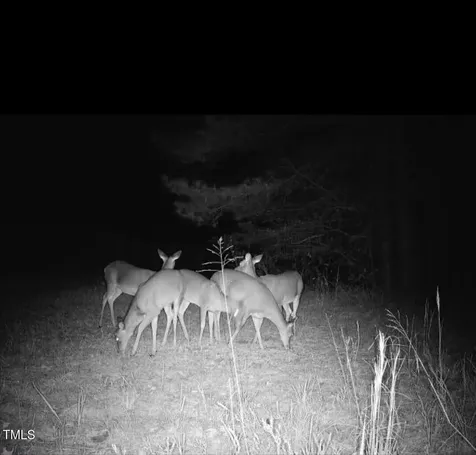0000 Fielding Knott Road Oxford NC 27565