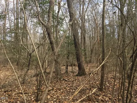 Tbd Siler City Snow Camp Road Siler City NC 27344