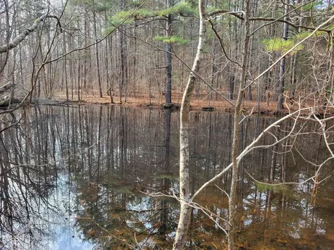 Tbd Siler City Snow Camp Road Siler City NC 27344