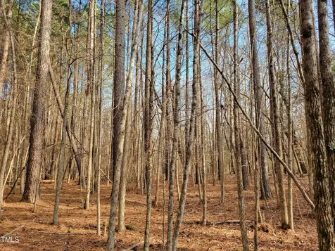 Tbd Siler City Snow Camp Road Siler City NC 27344