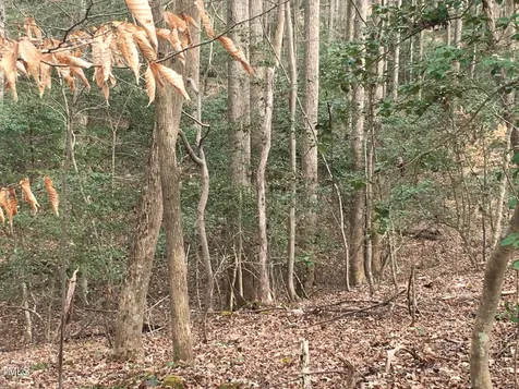 Tbd Siler City Snow Camp Road Siler City NC 27344