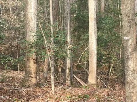 Tbd Siler City Snow Camp Road Siler City NC 27344