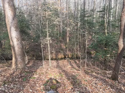 Tbd Siler City Snow Camp Road Siler City NC 27344