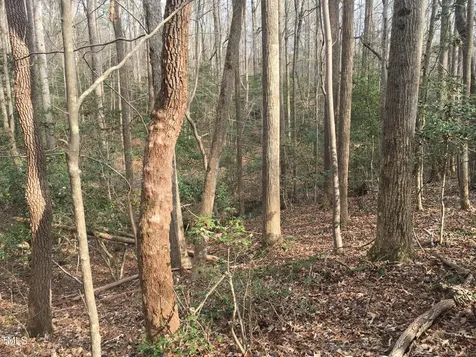 Tbd Siler City Snow Camp Road Siler City NC 27344