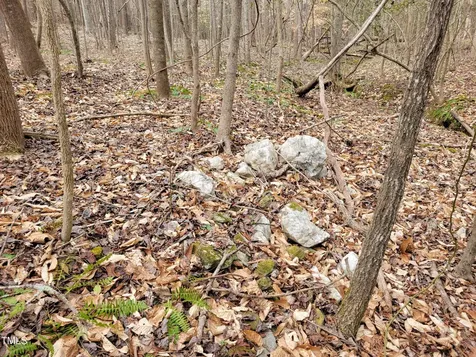 Tbd Siler City Snow Camp Road Siler City NC 27344