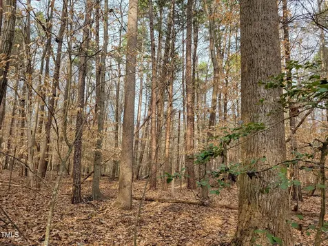 Tbd Siler City Snow Camp Road Siler City NC 27344