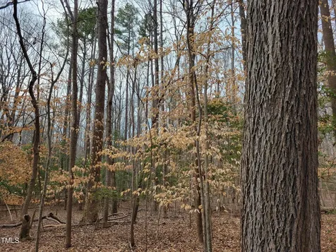 Tbd Siler City Snow Camp Road Siler City NC 27344