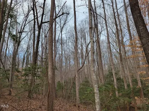 Tbd Siler City Snow Camp Road Siler City NC 27344