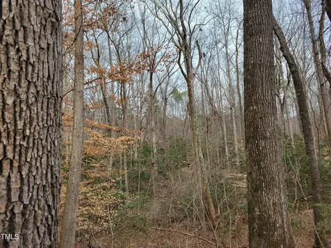 Tbd Siler City Snow Camp Road Siler City NC 27344