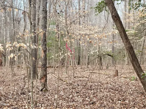 Tbd Siler City Snow Camp Road Siler City NC 27344