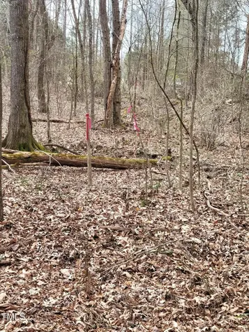Tbd Siler City Snow Camp Road Siler City NC 27344