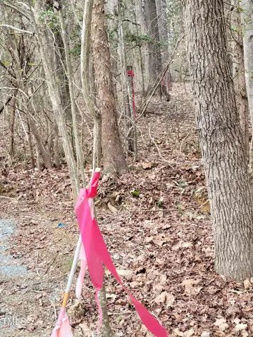 Tbd Siler City Snow Camp Road Siler City NC 27344