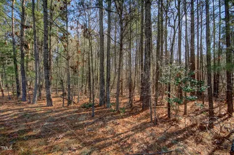 00 Bowman Bare Road Pittsboro NC 27312