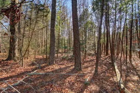 00 Bowman Bare Road Pittsboro NC 27312