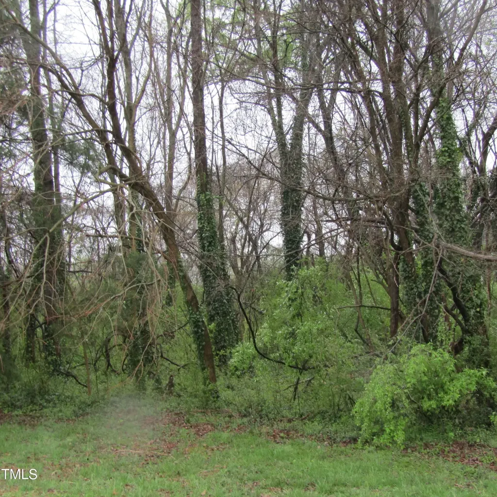 5171 Starmount Road Liberty NC 27298