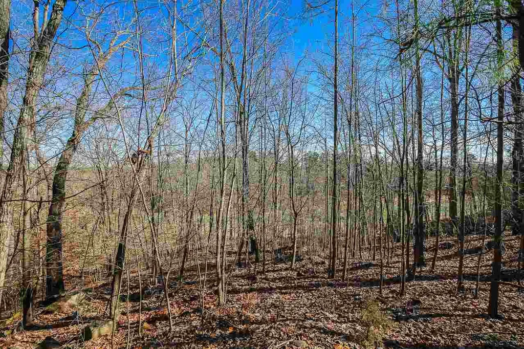 55235 Broughton Chapel Hill NC 27517
