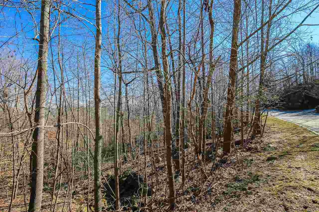 55235 Broughton Chapel Hill NC 27517