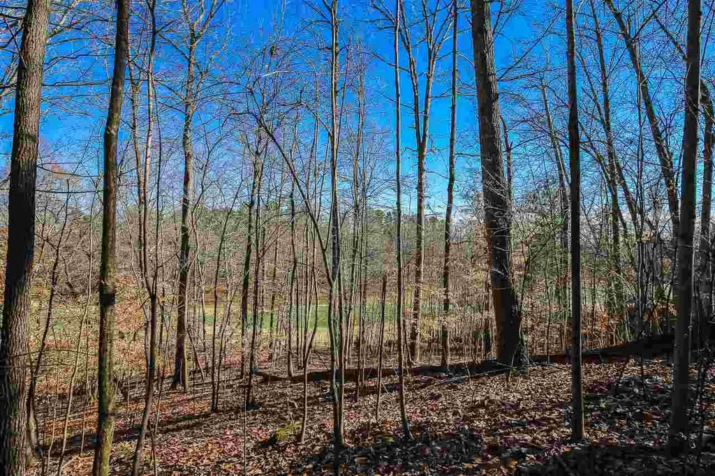 55235 Broughton Chapel Hill NC 27517