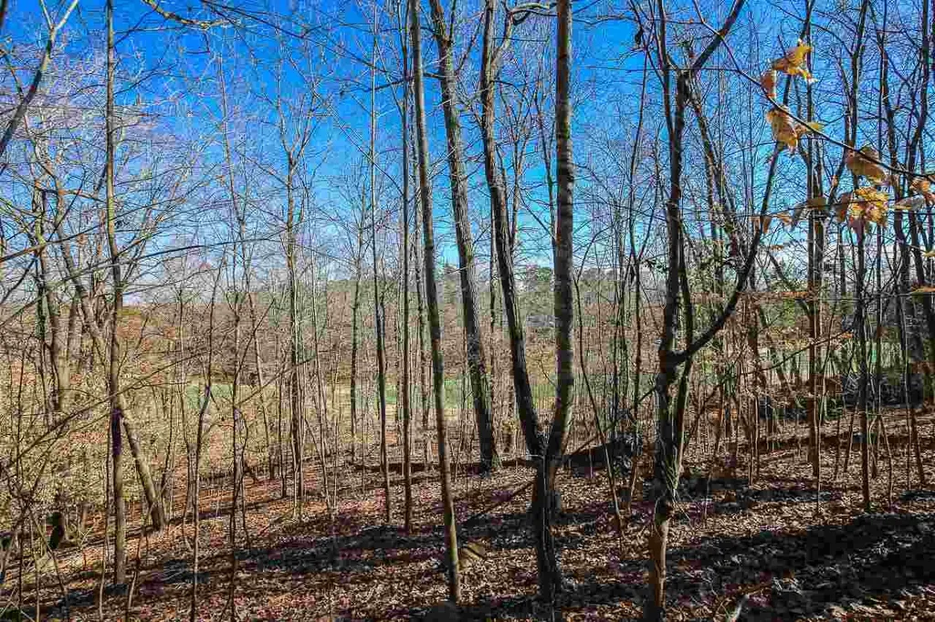55235 Broughton Chapel Hill NC 27517