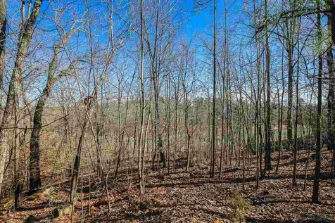 55235 Broughton Chapel Hill NC 27517