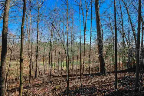55235 Broughton Chapel Hill NC 27517