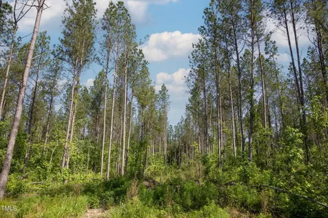 0 Old Roxboro Road Oxford NC 27565