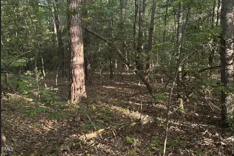 0 L Cooper Road Cameron NC 28326