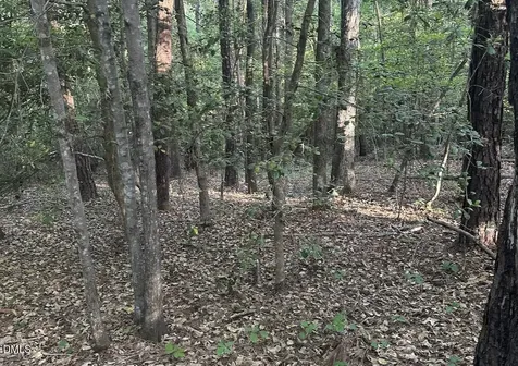 0 L Cooper Road Cameron NC 28326