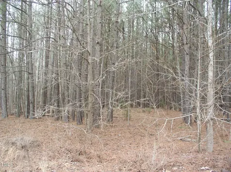 124 Virginia Dare Lane Henderson NC 27537