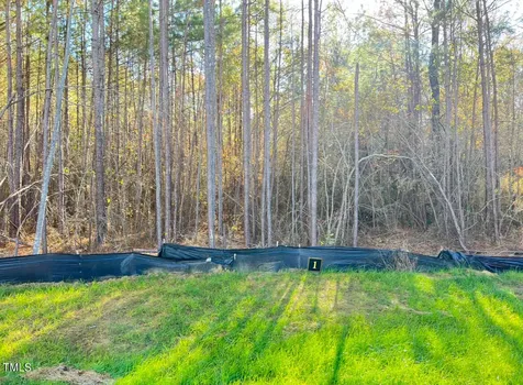 130 Green Pines Estates Drive Kenly NC 27542