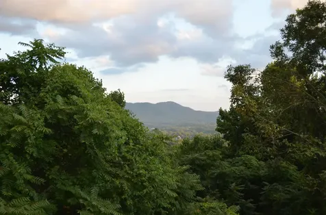 422 Windswept Drive Asheville NC 28801