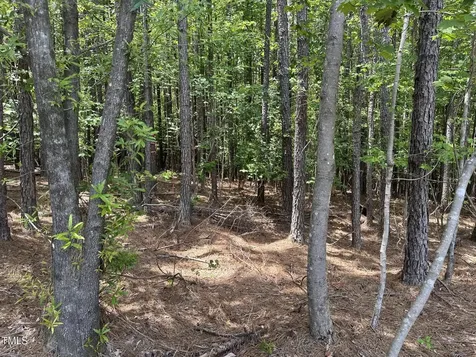 70 White Sound Way Pittsboro NC 27312